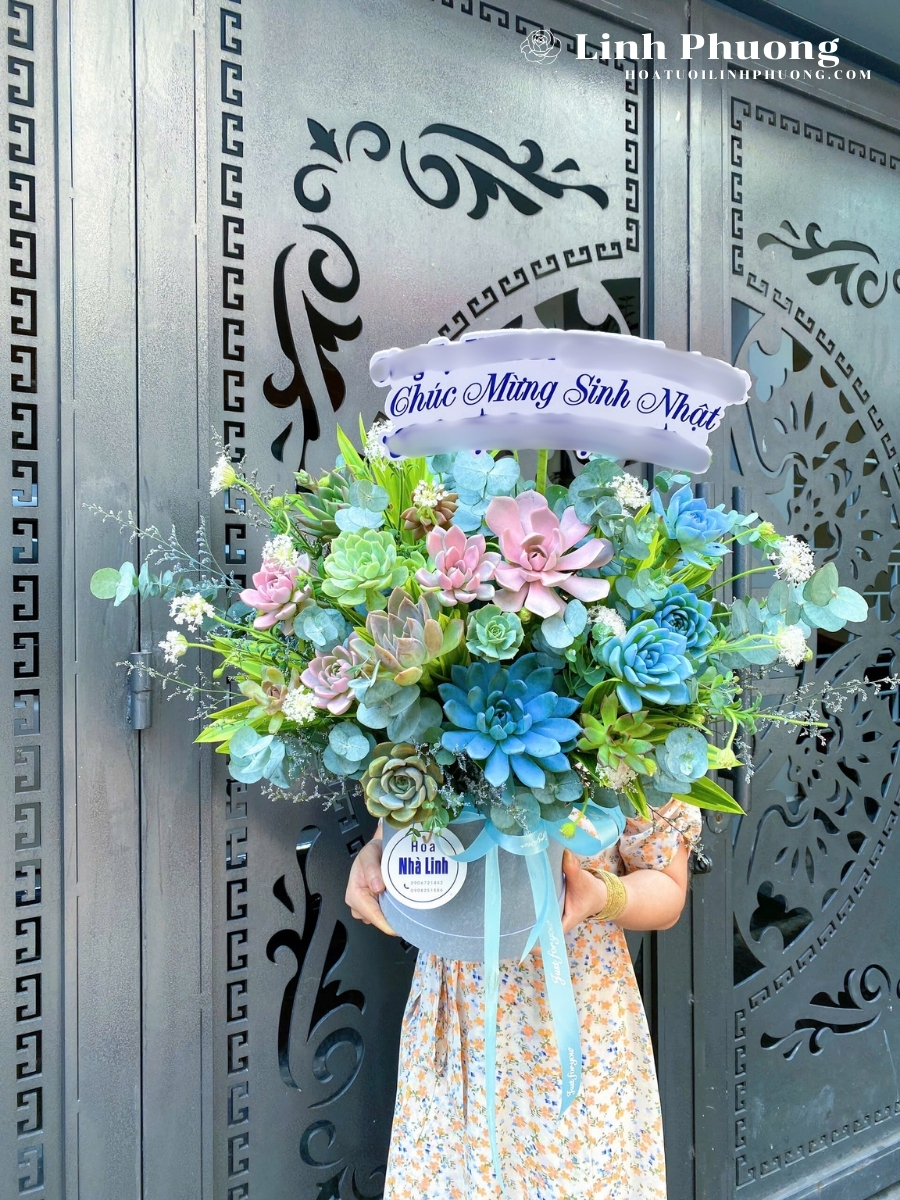 Hộp Hoa Để Bàn Sen Đá