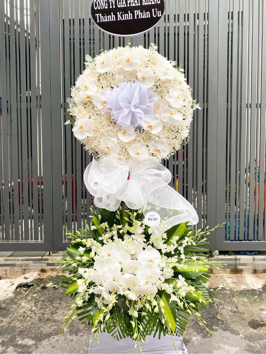 hoa tuoi linh phuong lan toan yeu thuong