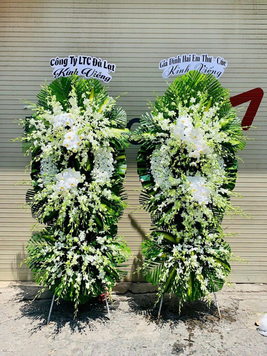 Untitled design (72)